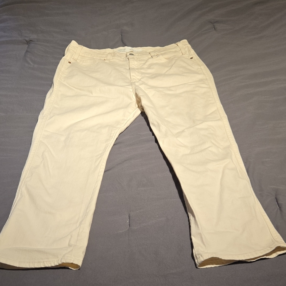 Levi Strauss Signature High Rise Straight Pants - Cream